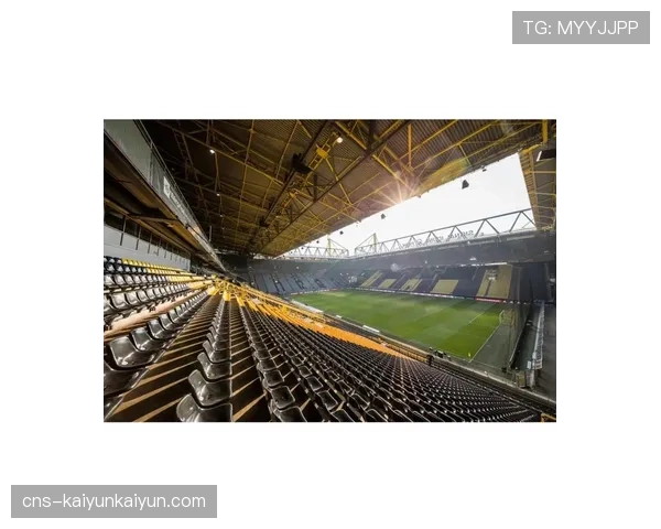 多特蒙德南看台需加装防冲撞金属护栏，每场改造费用达五位数